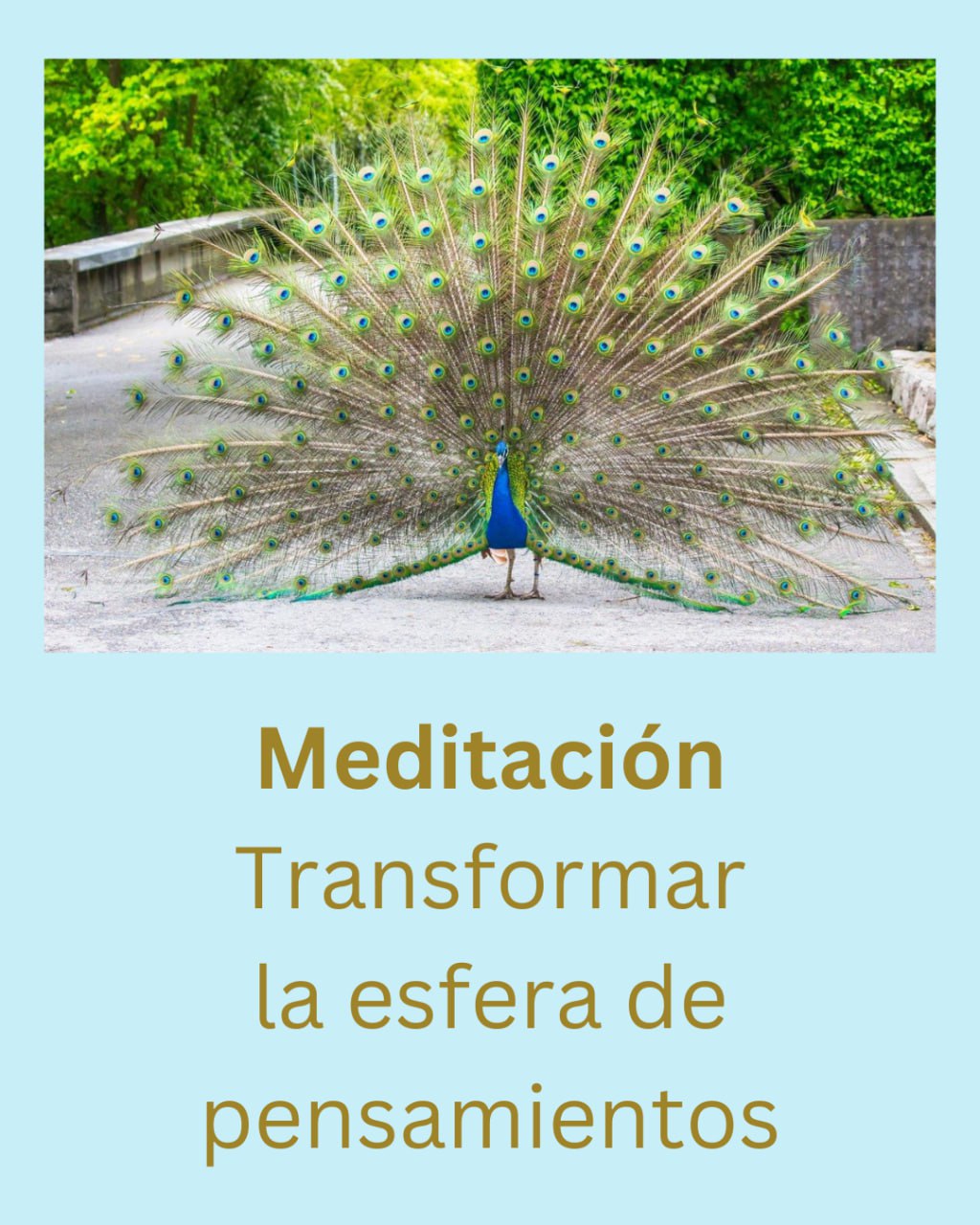 Portada del audio 2